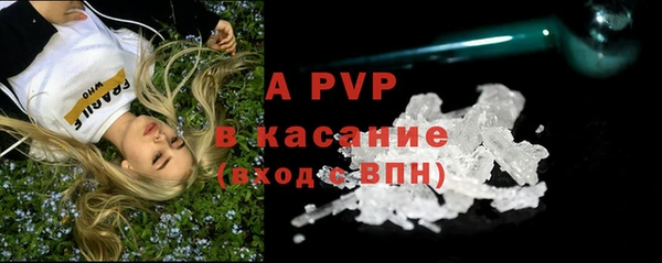 ECSTASY Новокубанск