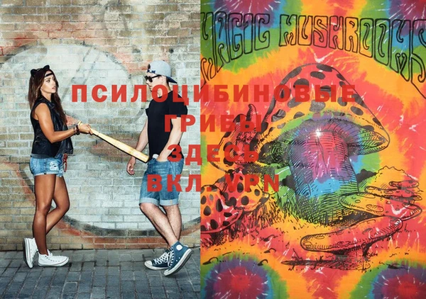 сатива Абдулино