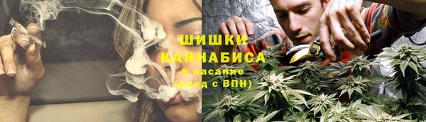сатива Абдулино
