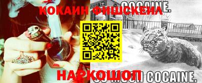 jwh Новозыбков