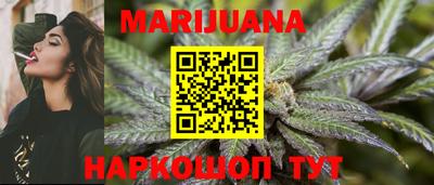 Альфа ПВП Новодвинск