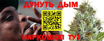 Альфа ПВП Новодвинск